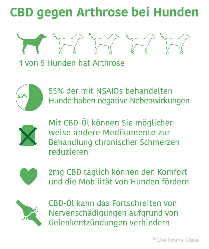 Arthrose bei Hunden